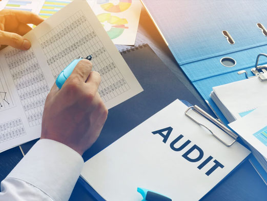Auditor Training